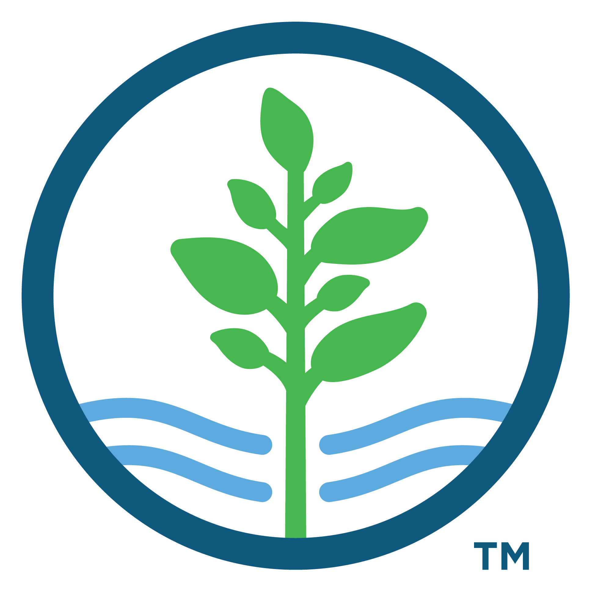 Goat Yoga at BSP with The Little Yogi - logo